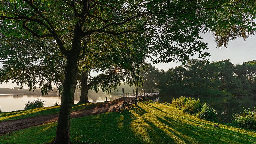 Zonsopkomst bij de Kralingse Plas