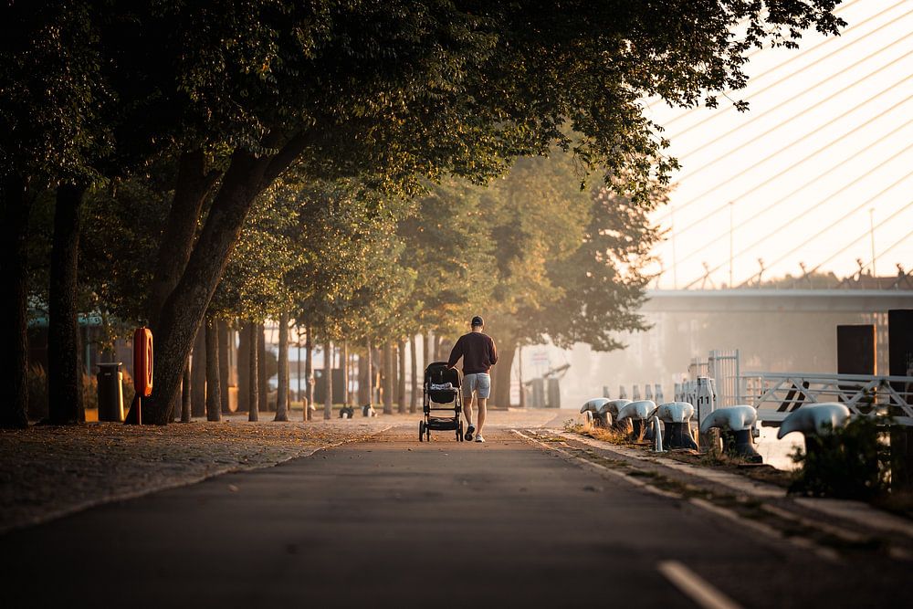 Dad's Morning Walk