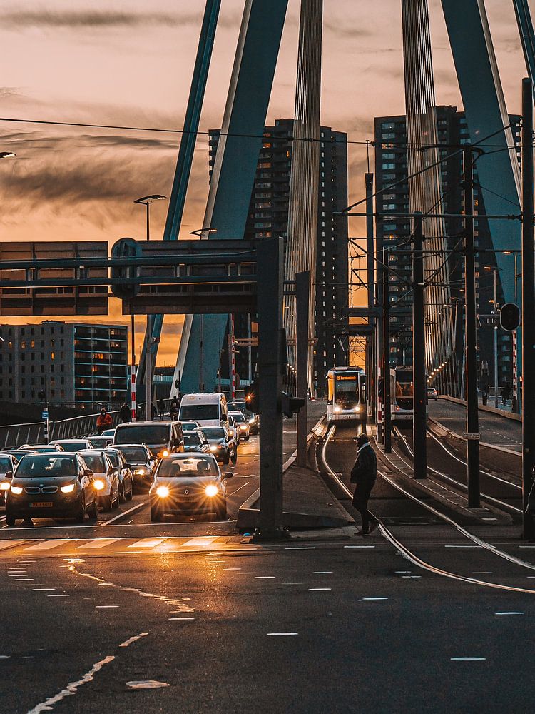 Erasmusbrug in de avond