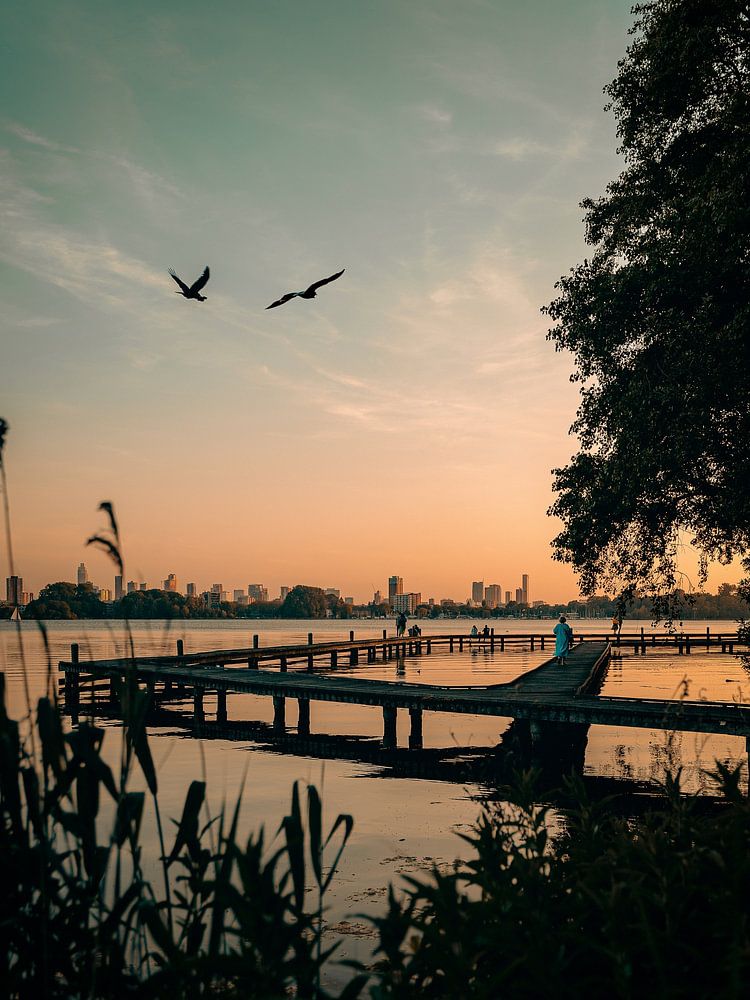 Een late avond bij de Kralingse Plas