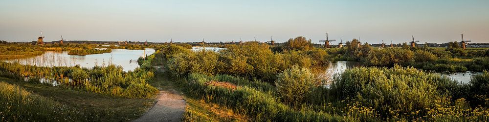 Panorama Molens Kinderdijk